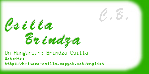 csilla brindza business card